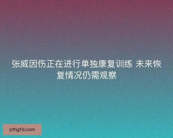 张威因伤正在进行单独康复训练 未来恢复情况仍需观察